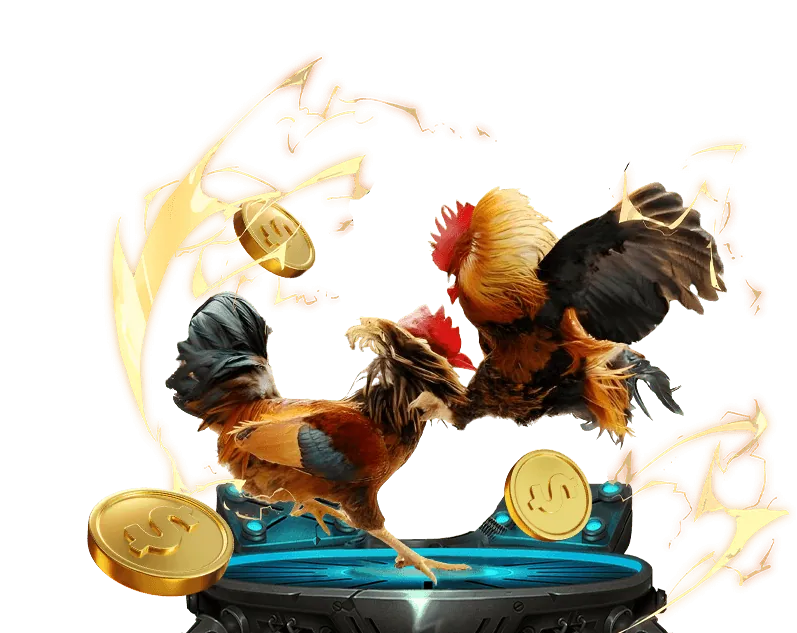 Hướng dẫn đặt cược đá gà trên Lucky88 app